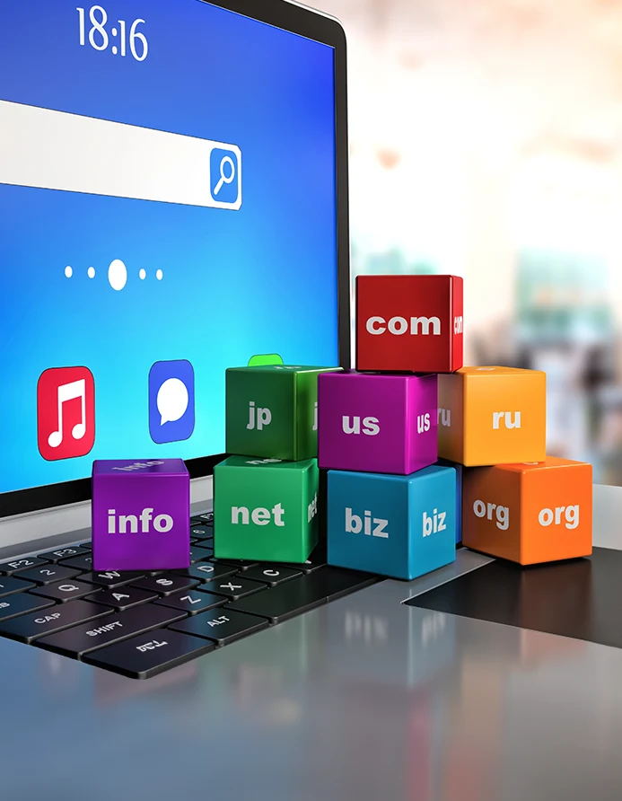 Domain Registration
